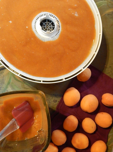 Dried foods pack intense flavor into every bite. You don’t have to use precious freezer space, and you don’t need to mess with filling and processing jars. Learn more dehydrating basics.