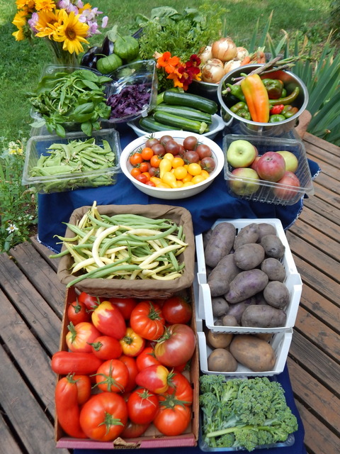 Botulism has become a boogeyman who peers over the rim of a boiling water bath at many home canners. But there is no secret to safe canning. Read more about botulism and canning safely.