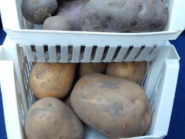 Potatoes