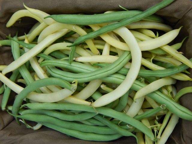 I don’t pressure can. Why? I find that pickling, freezing, or other ways of preserving low-acid vegetables produce tastier results than pressure canning. Read more about (not) pressure canning.