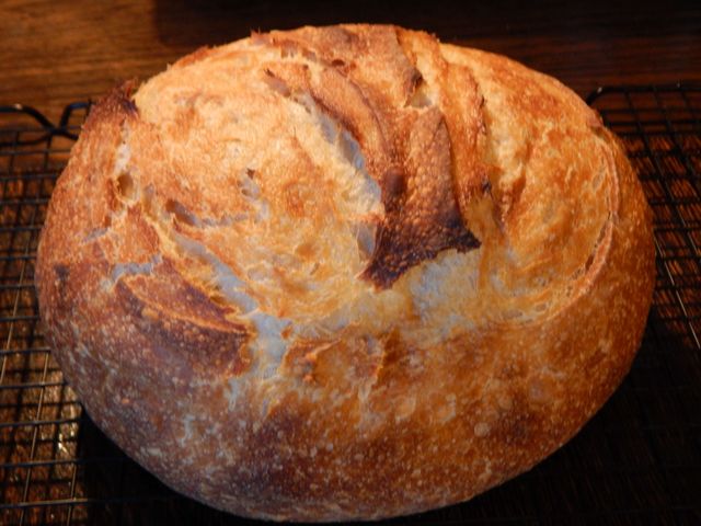 When it comes to sourdough bread, my techniques and tricks have two purposes: reduce your effort and make the bread flavorful. Learn to make Sourdough Cabin Bread and Gorgeous Grilled Cheese.