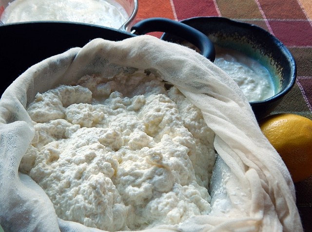 Queso blanco, paneer, ricotta, farm cheese, lemon cheese—they’re the same cheese by different names and, like yogurt, surprisingly simple and easy to make. Learn to make Lemon Cheese and Fresh Yogurt.