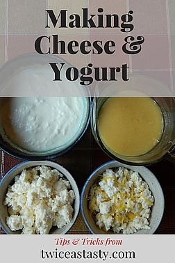 A Greek yogurt fixation and success with homemade mozzarella started me down the road of making—and teaching you to make—a range of fresh, soft cheeses. Read more about homemade cheese and yogurt.