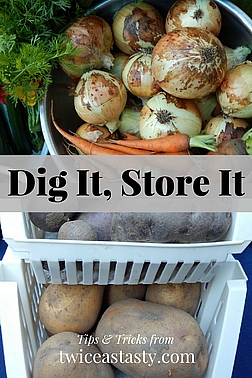 If I can find room in my 500-square-foot cabin to store the last garden haul in boxes, baskets, and coolers, so can you. Read more about storing vegetables and fruit for winter.