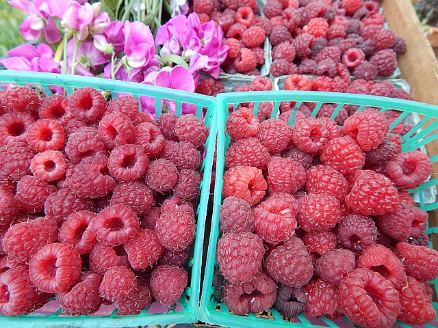 Limited availability, poor taste out of season, and heavy pesticide residue are all good reasons to grow—and save—your own fruits and berries. Read more about preserving the fruits of summer.