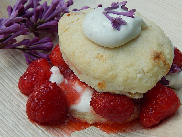 For today’s party, it was hard to resist easily created desserts that show off freshly harvested botanicals and summer fruits. Learn to make Strawberry Shortcake with Lilac Cream and Rhubarb Crisp.