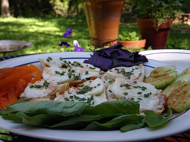 To make fresh-tasting dishes from the garden, learn when and how to pluck the choicest edibles at TwiceasTasty.com.