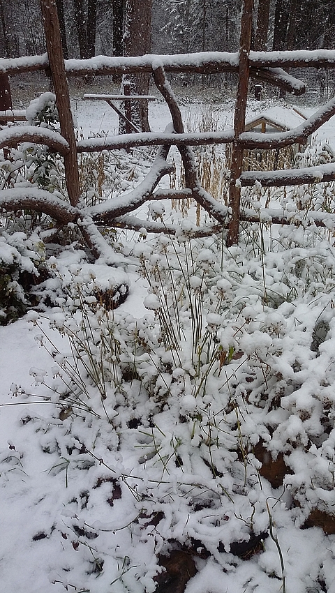 No matter what holidays you celebrate in winter, food plays a central role. But feeding a crowd can be more stressful than enjoyable. Read more about preparing for holiday gatherings and meals.