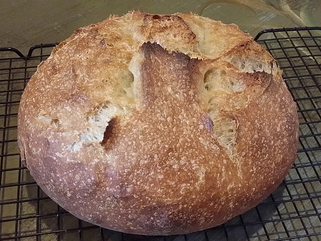 Whatever your excuse for not baking with sourdough, it likely doesn’t apply to the way I care for and use sourdough starter. Read more about why you can—and should—bake with sourdough.