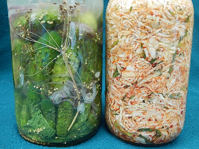 This basics page introduces you to the concept of fermentation—for breads, cheeses, vegetables, and more. Learn more at TwiceasTasty.com.