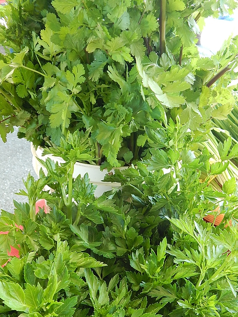 This primer brings together ways I quickly save the last rounds of in-season veg. Read more about quick-save vegetables. Learn more at TwiceasTasty.com.