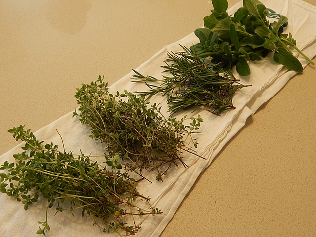 Food has always dominated my travels, and home re-creations almost always start with herbs. Read more about choosing and storing herbs.