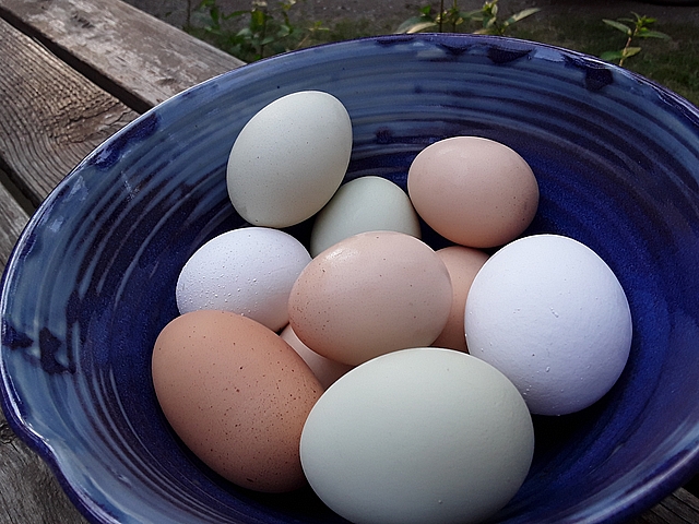 My local food sources start with the ground I garden in and continue down the road to the closest source. Learn more at TwiceasTasty.com.