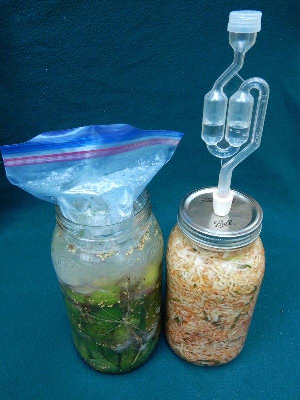 Fermenting vegetables seems daunting, but it’s far simpler than making cheese, baking bread, or even canning vinegar-pickled produce. Learn more at TwiceasTasty.com.