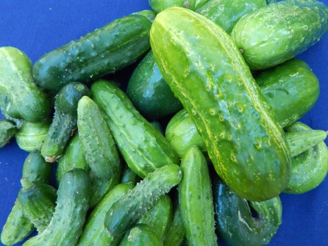 Fermenting vegetables seems daunting, but it’s far simpler than making cheese, baking bread, or even canning vinegar-pickled produce. Learn more at TwiceasTasty.com.
