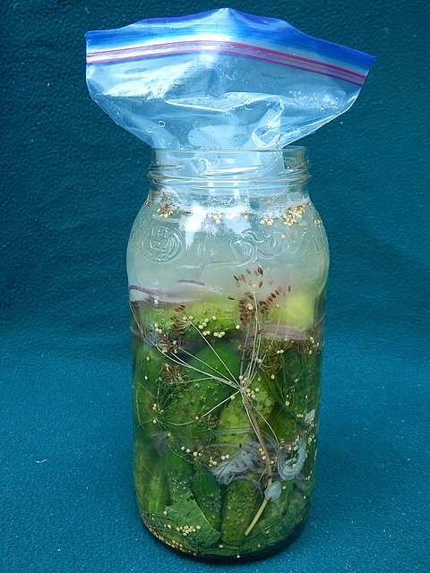 I’ve loved cucumber pickles since I was a kid. Fermentation takes them to a new level. Get fermented vegetable recipes at TwiceasTasty.com.