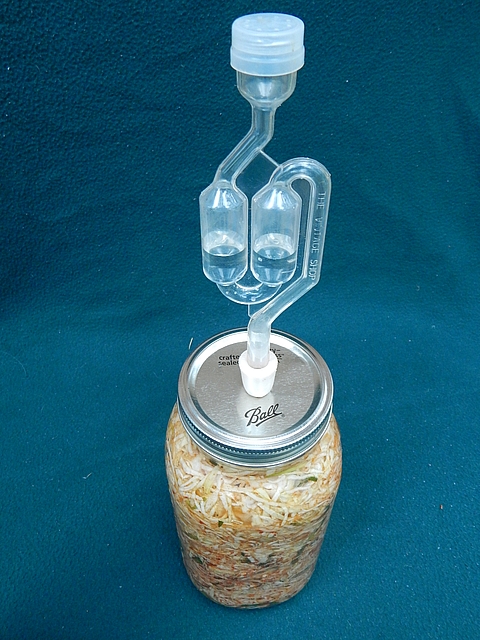 I’m a latecomer to the enjoyment of sauerkraut and kimchi, but I love that I can make both from a head of cabbage. Get home fermentation recipes at TwiceasTasty.com.