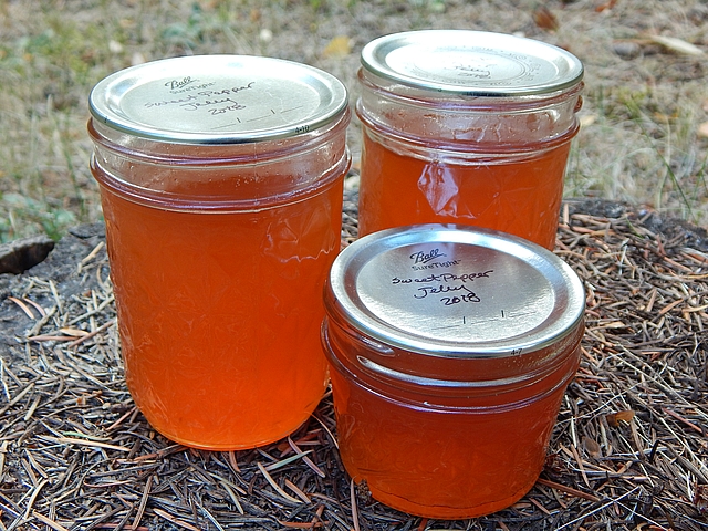 In a workshop at Free the Seeds, I shared ways to eat from top to root. Learn more at TwiceasTasty.com.