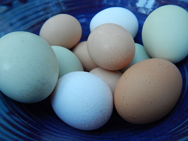 Custards and puddings let fresh ingredients shine even as they use leftovers. Get simple pantry dessert recipes at TwiceasTasty.com.