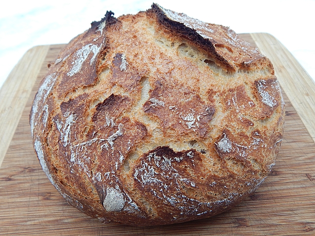 I’ll be giving away sourdough starter through January 31, 2019. Learn more at TwiceasTasty.com.