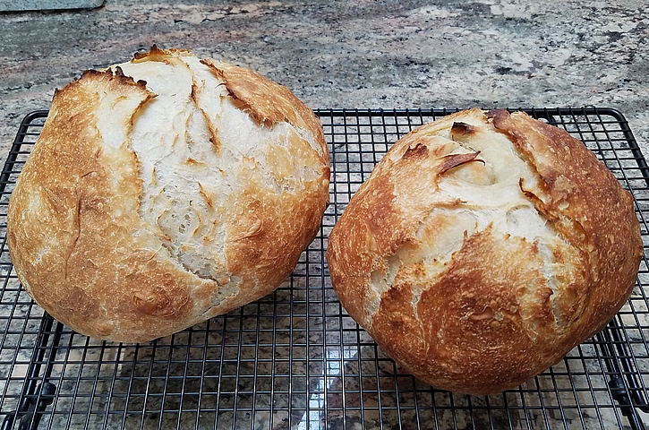 Drying sourdough starter lets you save some starter if don’t plan on baking for several months. Get sourdough recipes at TwiceasTasty.com.