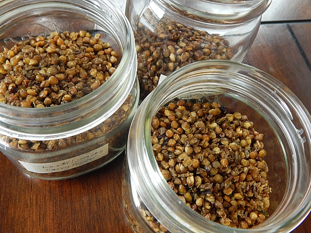 Homemade bean snacks shine as both party treats and everyday munchies. Get healthy snack recipes at TwiceasTasty.com.