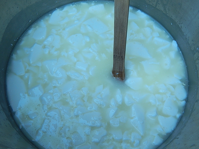  Explore the small-scale, easy, and tasty alternatives to pouring cheese and yogurt whey down the drain. Learn more at TwiceasTasty.com.