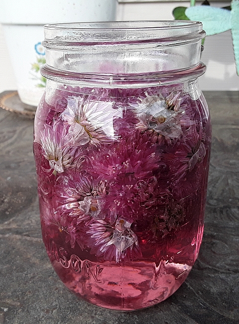 Chive Blossom Vinegar Chive Blossom Vinegar
