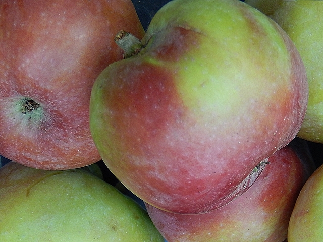 Call it impressive or call it procrastination: We sealed up 85 jars of goodness on Sunday. Learn more at TwiceasTasty.com.