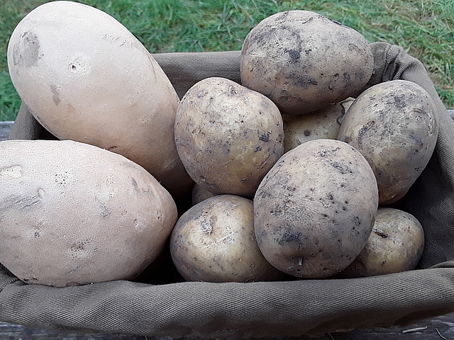 Everyone has a favorite  mash, but you can please them all with 5 or fewer ingredients. Get mashed potato recipes at TwiceasTasty.com.
