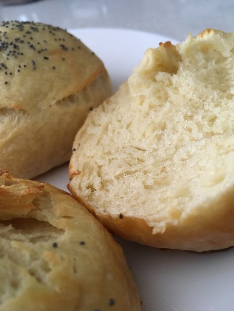 Get your free sourdough starter and answers to some of your sourdough questions. Learn more at TwiceasTasty.com.