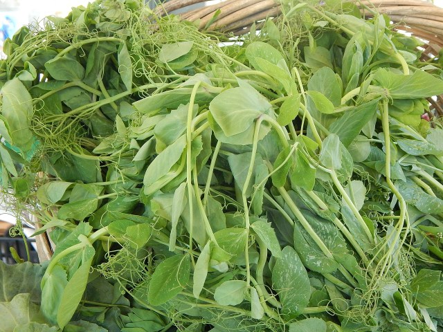  These gardening resources and ideas may help as you’re getting your hands dirty. Learn more at TwiceasTasty.com.