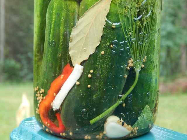 You know you’re serious about preserving homegrown food when you start canning in your kitchen. Learn more at TwiceasTasty.com.