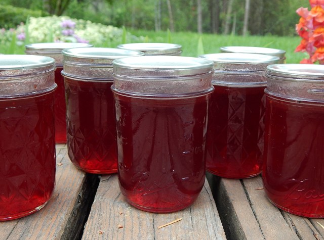You know you’re serious about preserving homegrown food when you start canning in your kitchen. Learn more at TwiceasTasty.com.