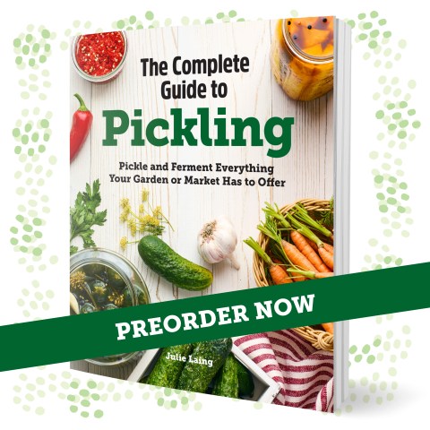 I’m excited to officially announce that my first cookbook is coming out. Read more about The Complete Guide to Pickling at TwiceasTasty.com.
