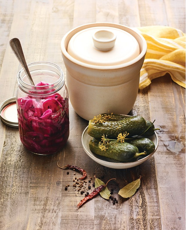 Fermented Red Onions and Half-Sour Dill Pickles