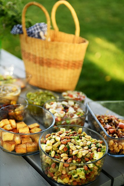 The Pickled Picnic by Julie Laing.