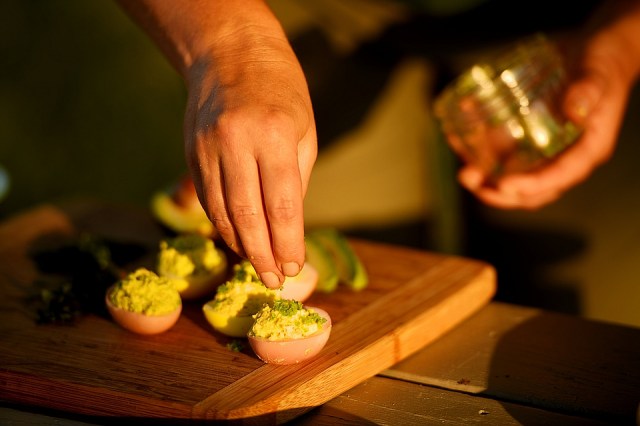 The Pickled Picnic by Julie Laing.