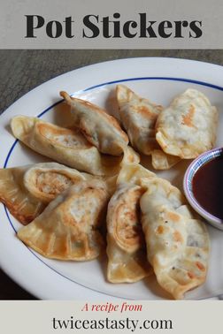 Tasty pot stickers can be hard to find but make a fun project at home. Get dumpling recipes at TwiceasTasty.com.
