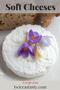 Learn to make soft cheeses, and you have so many choices. Get soft cheese recipes at TwiceasTasty.com.