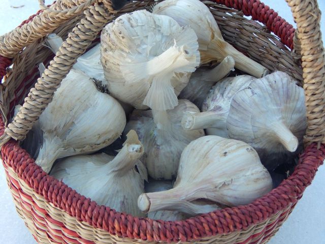 Here are three articles that feature two of my wintertime favorites: cranberries and garlic. Learn more at TwiceasTasty.com.