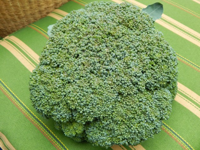 Slicing broccoli down its length, from crown to stalk, creates pieces less likely to fall through the grill. Learn more at TwiceasTasty.com.