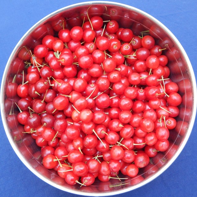 Sour and sweet cherries work well in scones, as do fruits ranging from apricots to huckleberries to peaches. Learn more at TwiceasTasty.com.