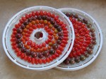 Dehydrating cherry tomatoes