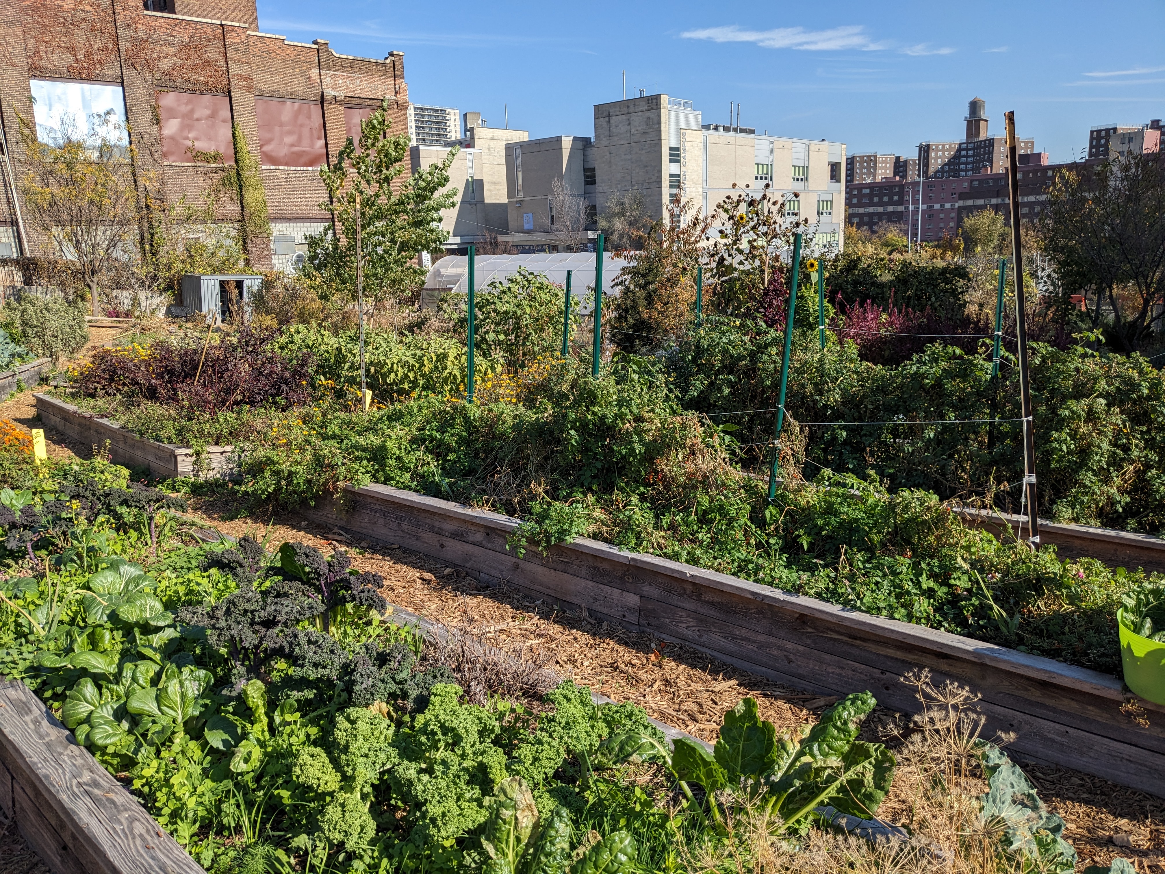 pxl_20241105_170557390