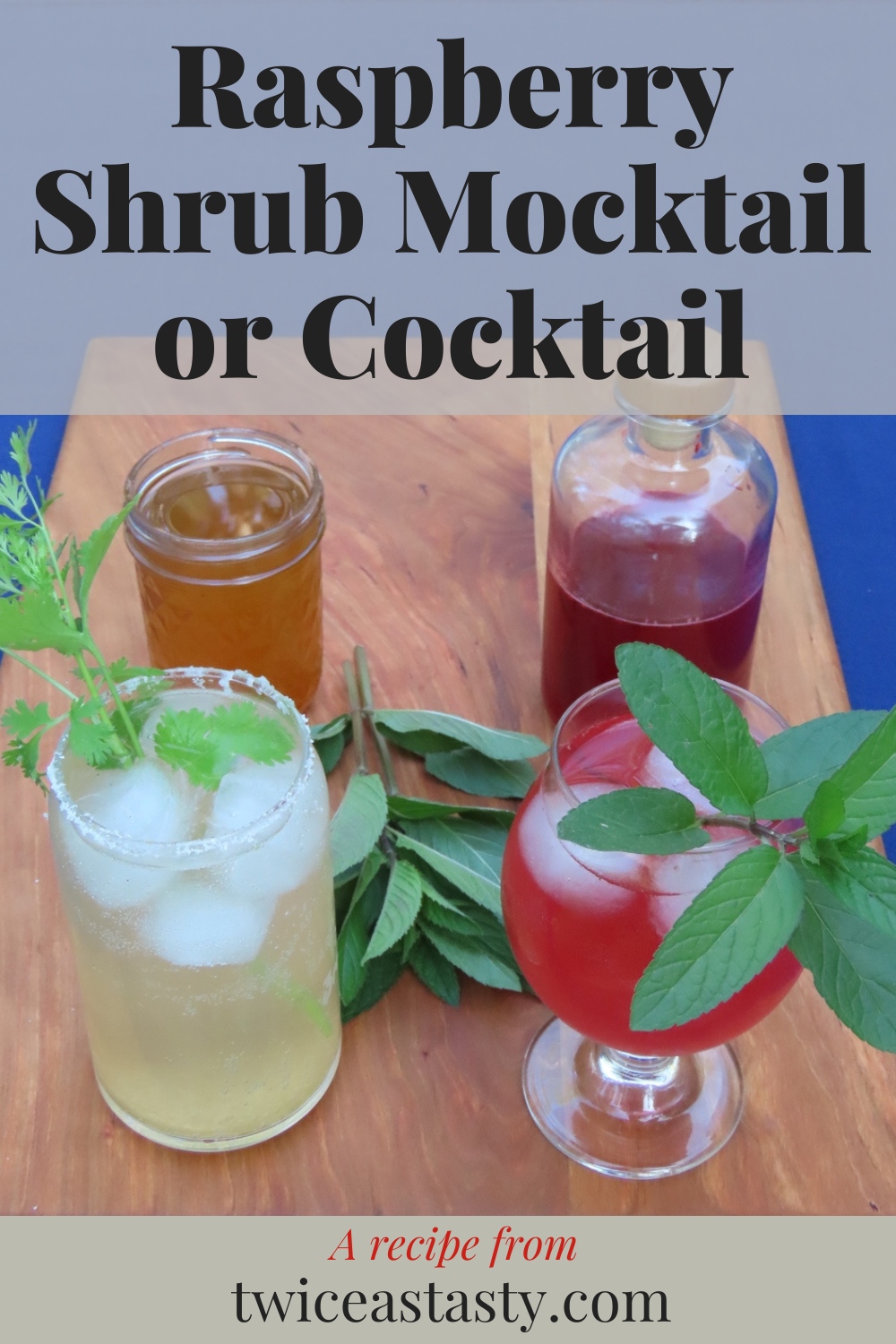 Drinking shrubs are essentially homemade replacements for today’s highly popular flavored sparkling waters and hard seltzers—in even more delicious flavors. Get shrub recipes at TwiceasTasty.com.