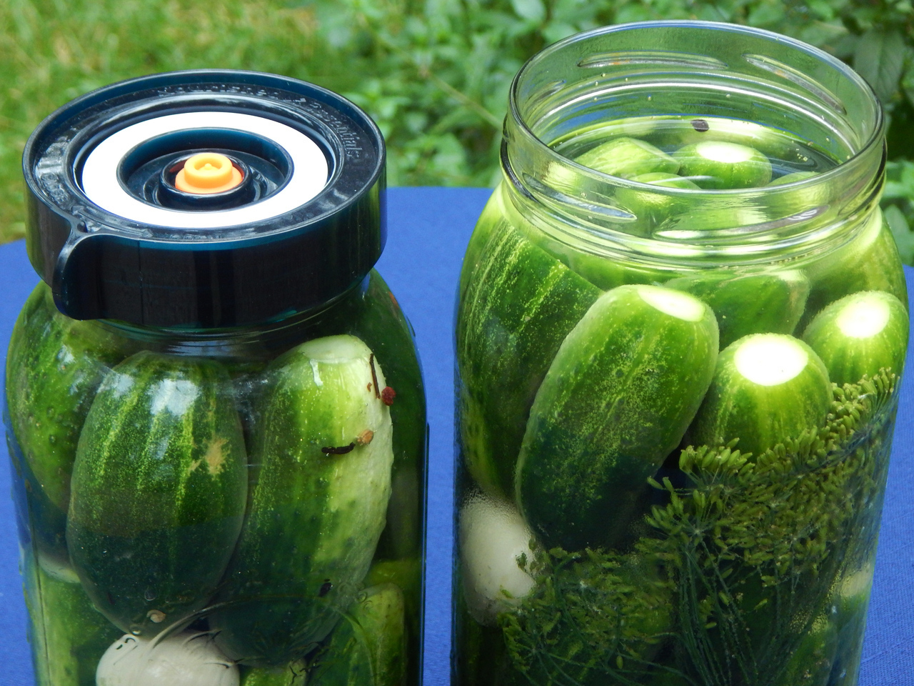 Half-Sour Dill Pickles. Learn more about fermented pickles at TwiceasTasty.com.