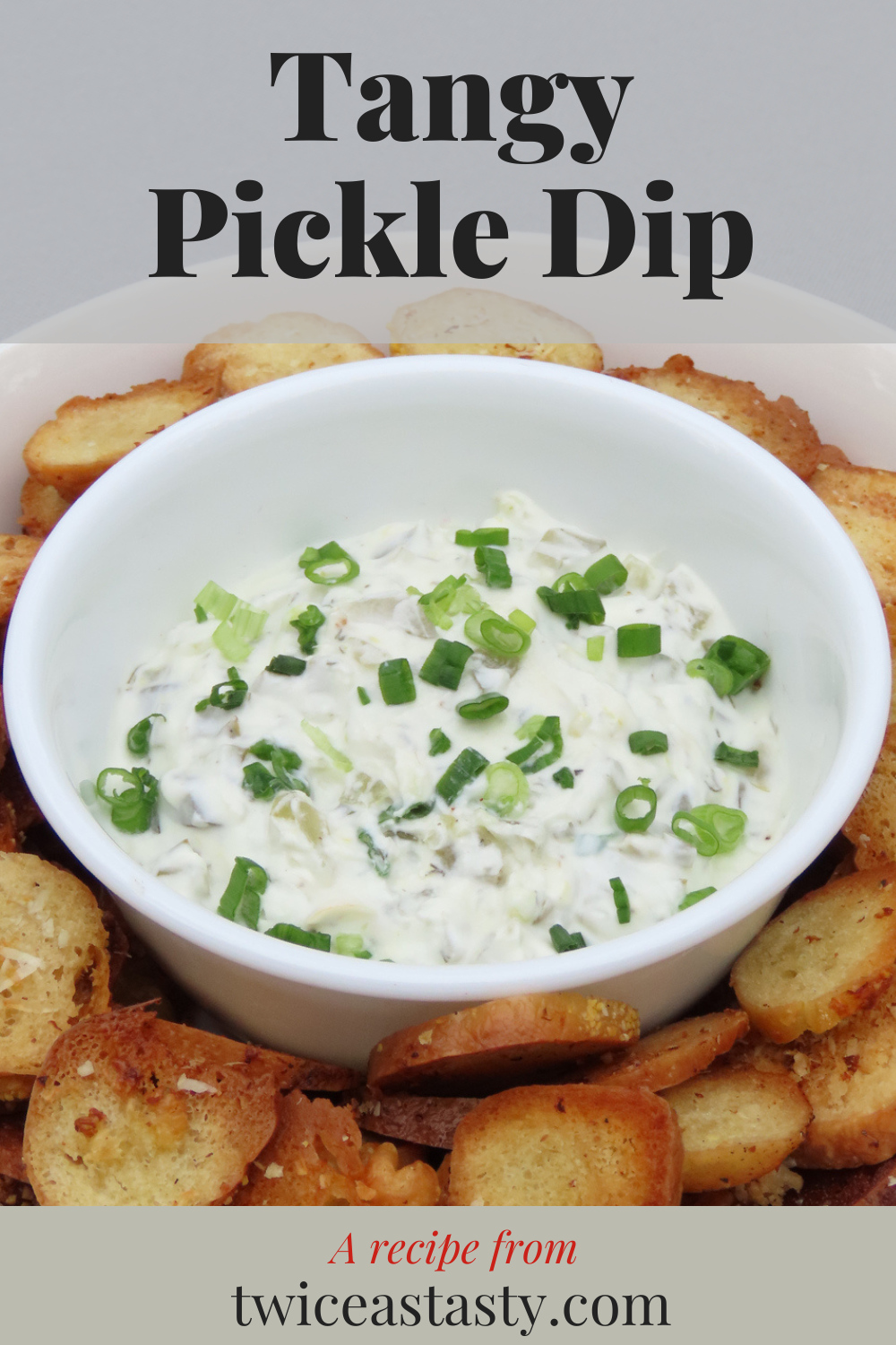 A dense creamy yet zesty dip and sourdough bagel chips promise to be a winning combination at your next party. Get dip recipes at TwiceasTasty.com.