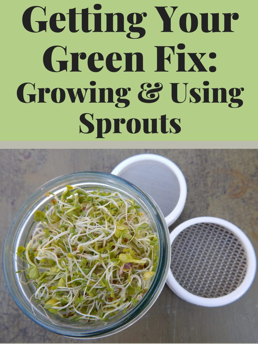 Getting Your Green Fix: Growing and Using Sprouts workshop