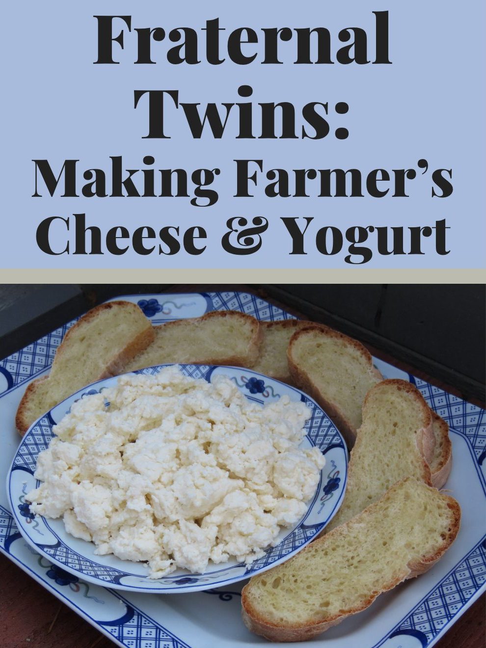 Fraternal Twins: Making Farmer’s Cheese and Yogurt workshop